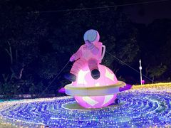 -广西壮族自治区药用植物园