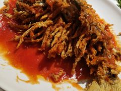 金毛狮子鱼-石门一味酒家(塔谈店)