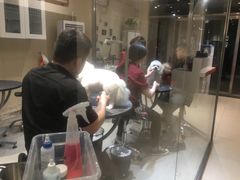 -宠物家(双井店)