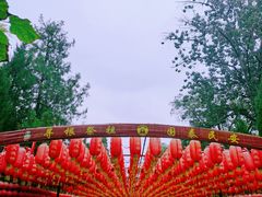 -大槐树寻根祭祖园