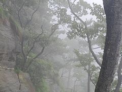 -庐山风景区花径公园