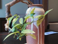 -满晴川·筵(泰达时代中心店)