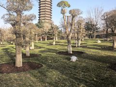 -西海子公园