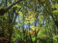 -梁鸿国家湿地公园