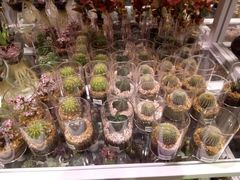 -KKV(深圳宏发大仟里店)