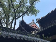 -灵谷景区