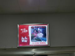 -老字号怡玺·藿香雅鱼(20年雅安店)