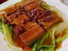 -东鸽皇(奥园·中环广场店)