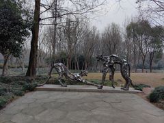 -西溪国家湿地公园