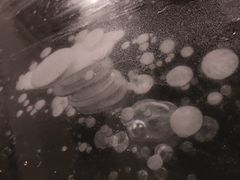 -南湖大桥