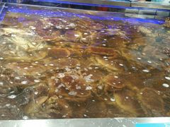 -盒马鲜生(大成店)