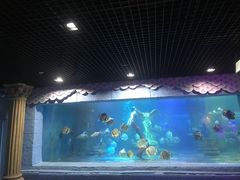 -梦幻海洋王国(吾悦广场张家港店)
