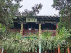 -晋祠公园