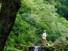 -素山寺森林公园