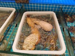-潮州府·潮菜·砂锅粥(徐家汇店)