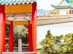 -武汉大学-樱园