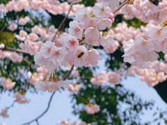 -静安雕塑公园