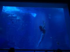 -太平洋海底世界