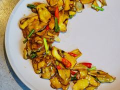 野芫荽炒牛肝菌-半山腰·云南菜(侨福芳草地店)