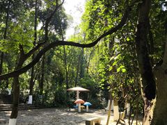 -广西壮族自治区药用植物园