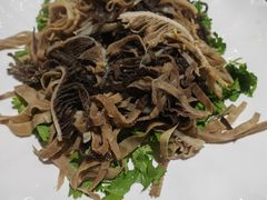 -逢春菜馆天津菜(胜利路店)