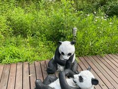 -苏州太湖国家湿地公园
