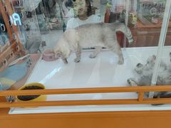 -万达广场(东营西城店)