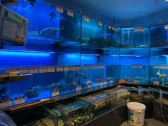水产区-协成海鲜火锅(海洋花园店)