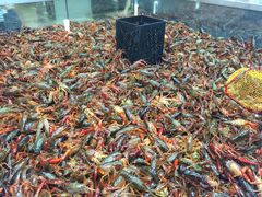 -盒马鲜生(宝地店)