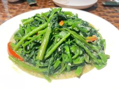 椒丝腐乳空心菜-老广酒楼(樱花店)