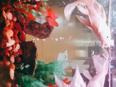 -水立方国际汤泉(六一中路店)