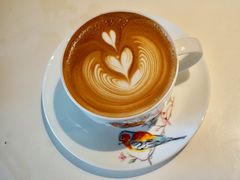 -sugarman espresso素饮糖人高新咖啡工厂