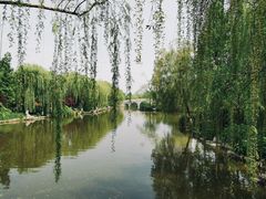 -济南大明湖景区