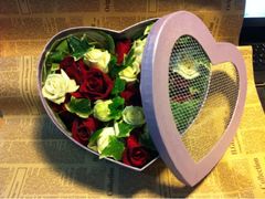 -静岸花卉园艺(三星坊店)