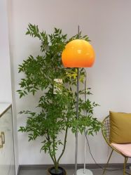 -变美丽半永久纹眉连锁·机器野生眉·洗眉