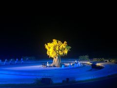 -鼎盛王朝康熙大典实景演出