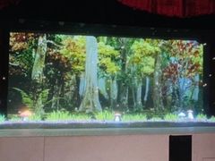 -彩色熊猫剧场
