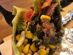 -油梨树 AVOCADO TREE(亮马桥店)