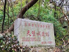 景点-紫金山天文台