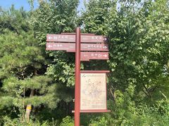 -北京西山国家森林公园