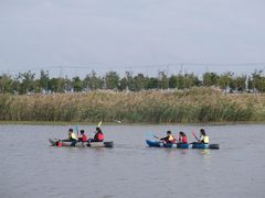 -春花秋色城市公园