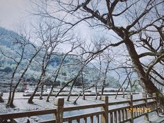 -鹿亭中村