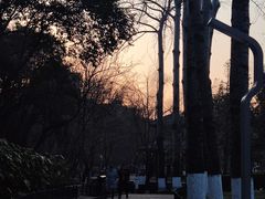 -西安市长乐公园