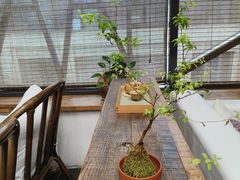 -瓦库茶馆17号(海汇港店)