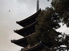 -奈良公园