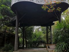 -成都市活水公园