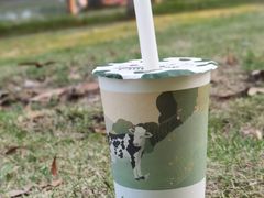 小迷珍珠红茶拿铁-迷客夏Milksha(圆融天幕店)