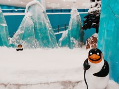 -长沙湘江冰雪世界