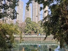 -成都市活水公园