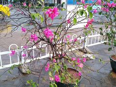 -白沙门生态公园